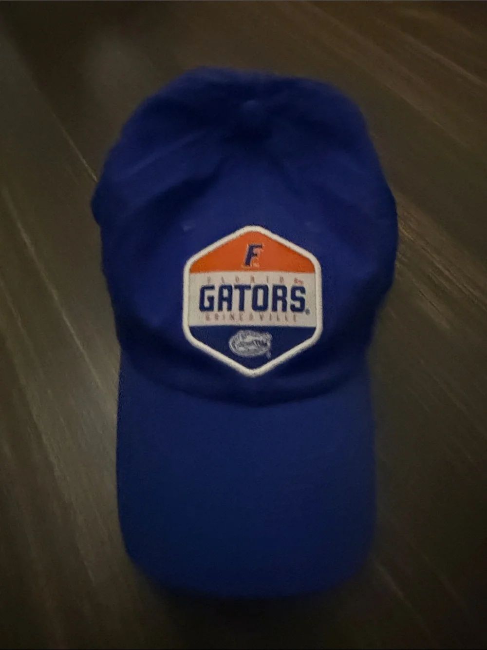 Florida Blue Baseball Cap - Official Team Logo